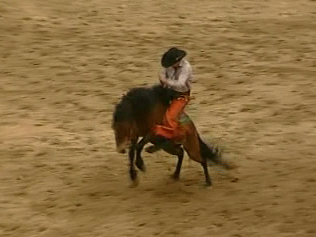 Сложный характер лошади