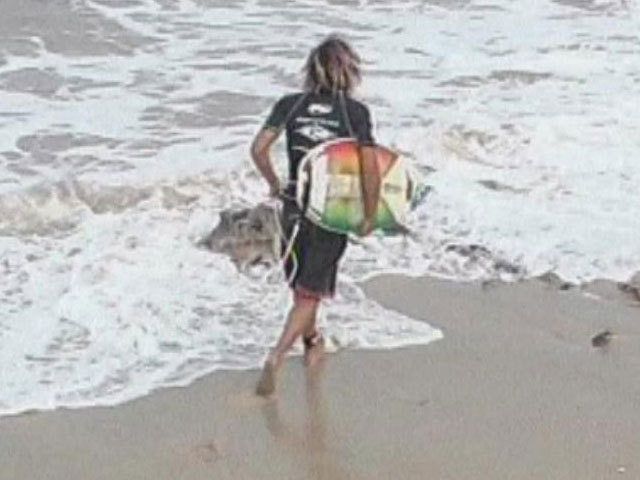 Настройся на серфинг